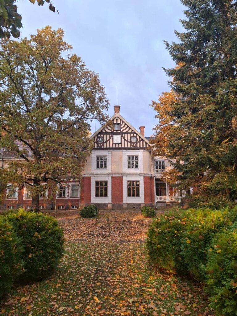 Moments de détente des apprentis CMA Formation Mercurey en Estonie.